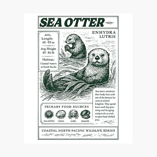 Item preview, Vintage Sea Otter Lover History Poster Style designed and sold by CARBONARA LLC..