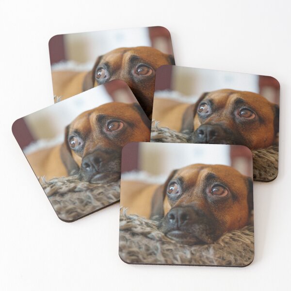 Item preview, Worried Dog Eyes on Cozy Bed designed and sold by mossysparkles.