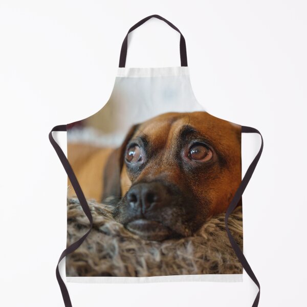 Item preview, Worried Dog Eyes on Cozy Bed designed and sold by mossysparkles.