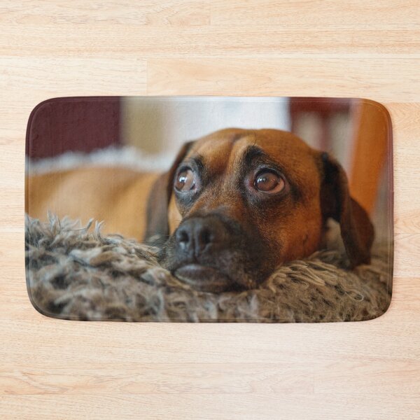 Item preview, Worried Dog Eyes on Cozy Bed designed and sold by mossysparkles.