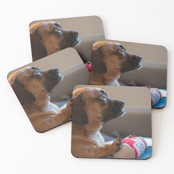 Item preview, Alert Dog with Toy on Couch designed and sold by mossysparkles.