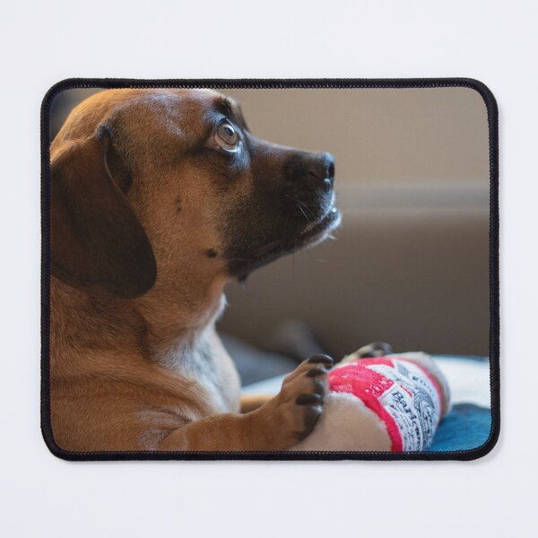 Item preview, Alert Dog with Toy on Couch designed and sold by mossysparkles.
