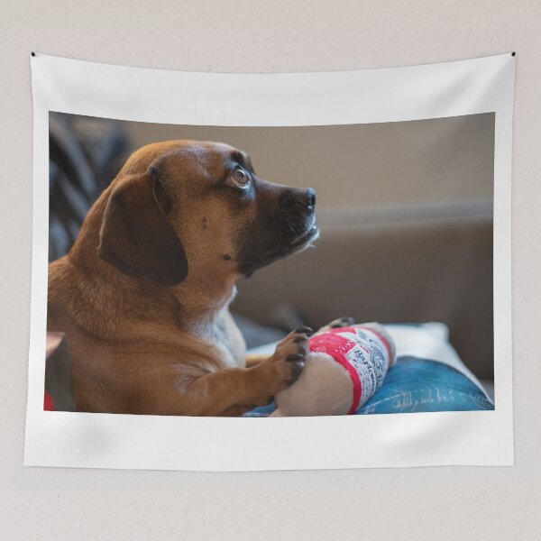 Item preview, Alert Dog with Toy on Couch designed and sold by mossysparkles.