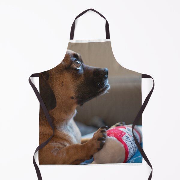 Item preview, Alert Dog with Toy on Couch designed and sold by mossysparkles.