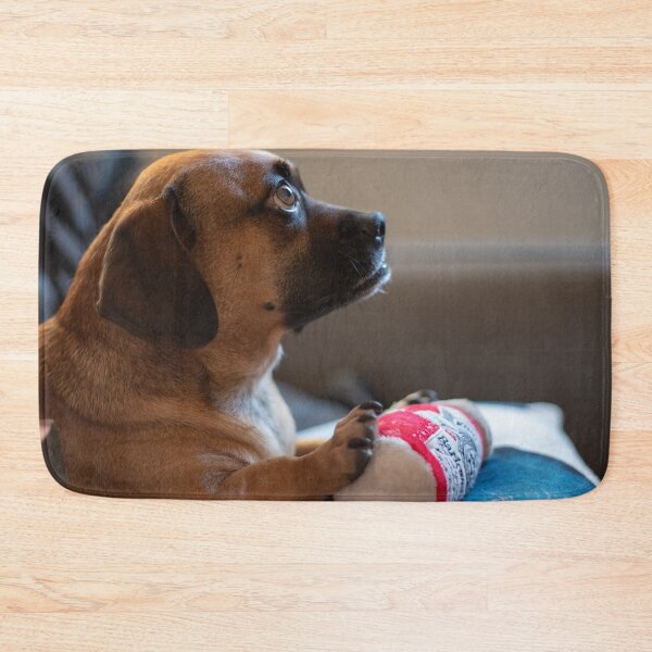 Item preview, Alert Dog with Toy on Couch designed and sold by mossysparkles.