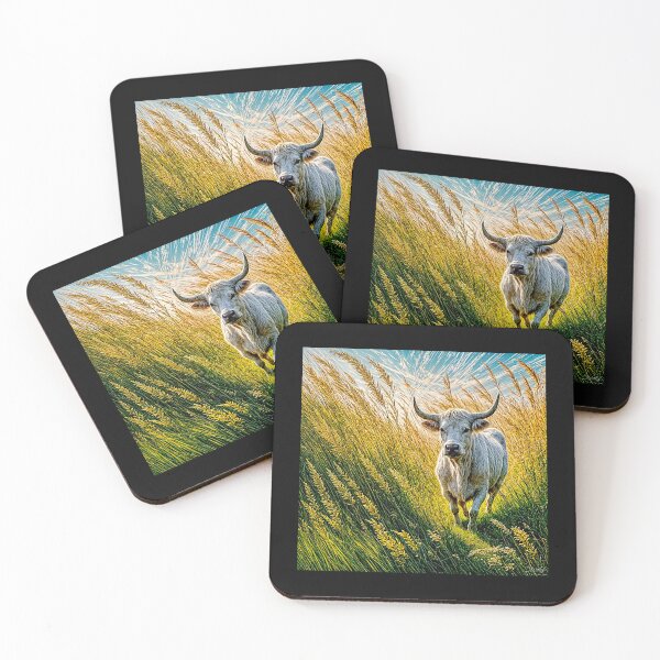 Item preview, Charolais bull #4 designed and sold by Helios Be. Lavsh.
