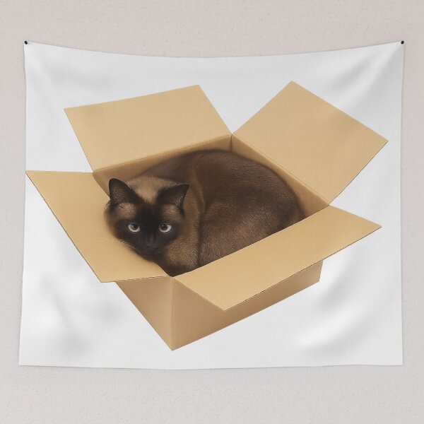 Item preview, Cat in a box designed and sold by Eiraoff.