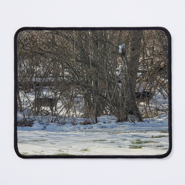 Item preview, Deer in the Woods designed and sold by Dwite Murfin.