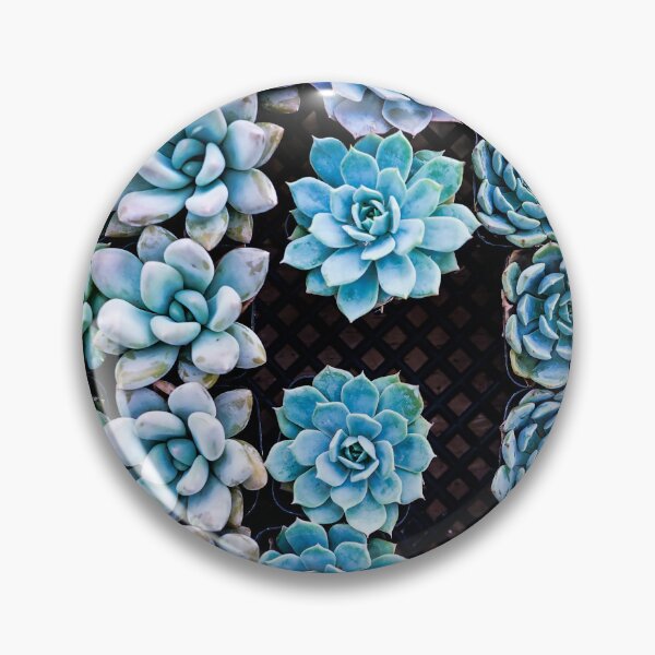 Item preview, Succulents All In a Row designed and sold by Douglas E. Welch Design and Photography.