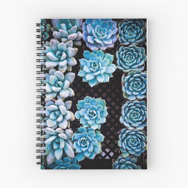 Item preview, Succulents All In a Row designed and sold by Douglas E. Welch Design and Photography.