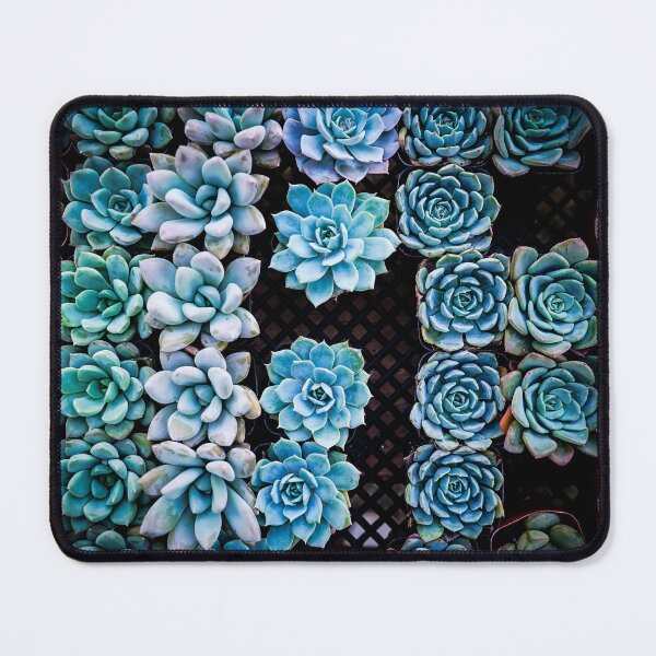 Item preview, Succulents All In a Row designed and sold by Douglas E. Welch Design and Photography.