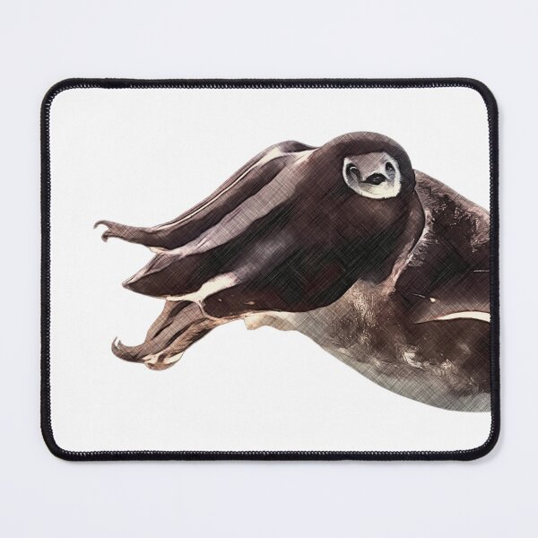 Item preview, Cuttlefish designed and sold by LillyLovesWildlife.