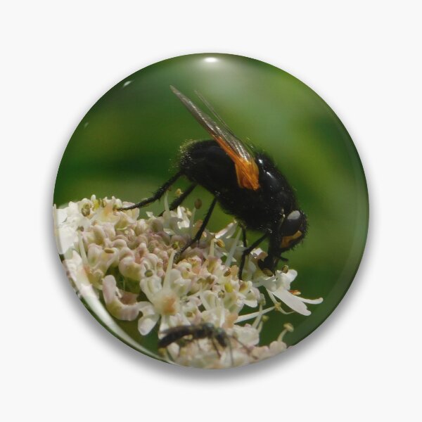 Item preview, Close-Up Photo of Fly on Flower designed and sold by mindwarp2000.