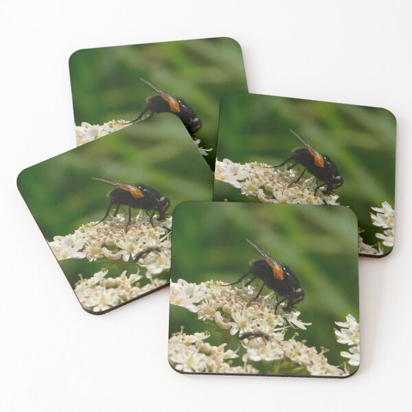 Item preview, Close-Up Photo of Fly on Flower designed and sold by mindwarp2000.