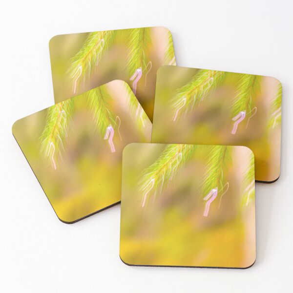 Item preview, Blurred Pine Needles in Soft Focus designed and sold by Veikko  Suikkanen.