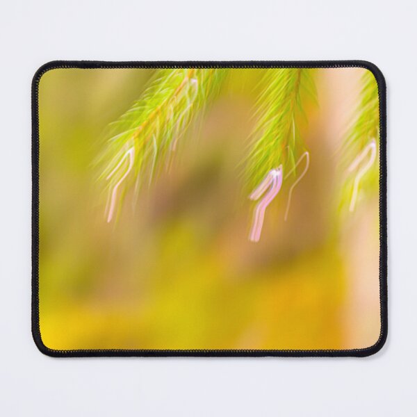 Item preview, Blurred Pine Needles in Soft Focus designed and sold by Veikko Suikkanen.