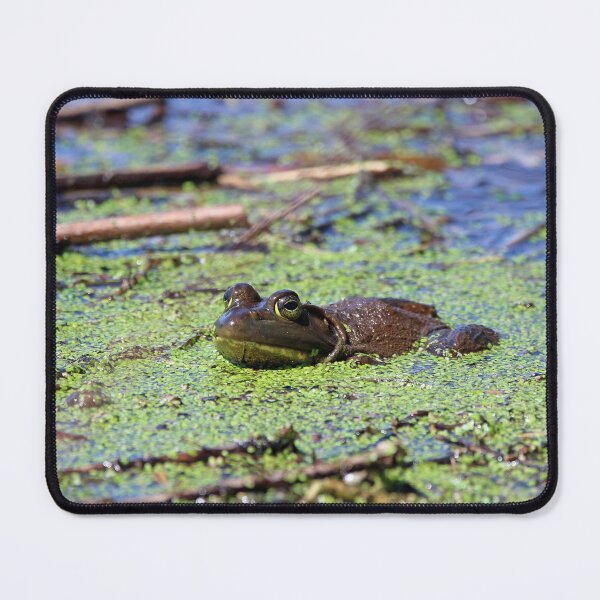 Item preview, Big frog in the spring designed and sold by MarkSmalley.