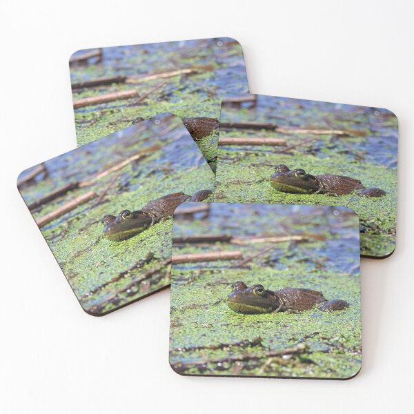 Item preview, Big frog in the spring designed and sold by MarkSmalley.