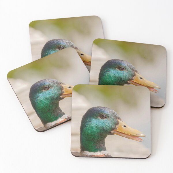 Item preview, Portrait of a male Mallard Duck designed and sold by Production Art Manon Meilleur.