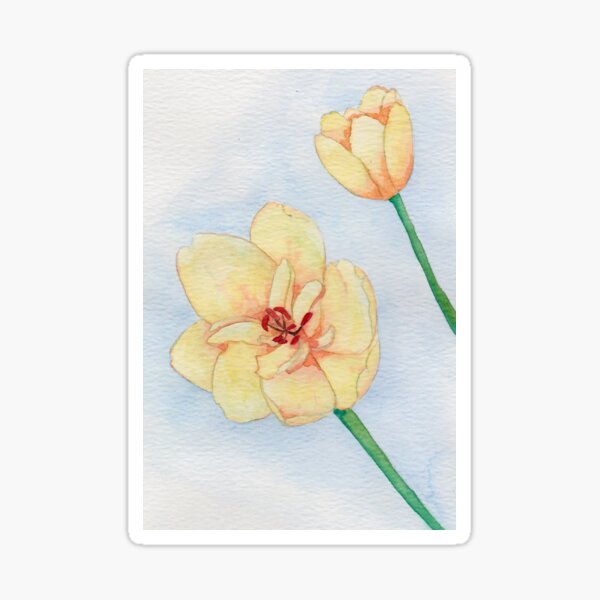 Yellow Tulips Sticker