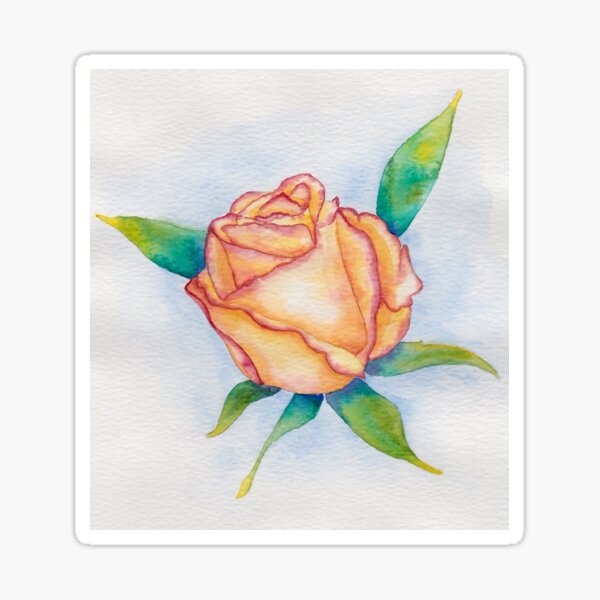 Orange and pink watercolour rose Sticker