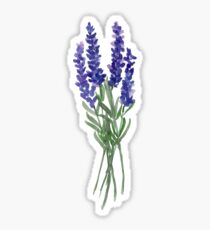 Pegatina Lavender Dream