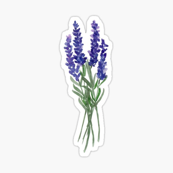 Lavender Twice Sticker for Sale by valeriehoffmann