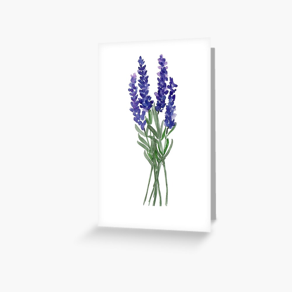lavender dream art print by kaylaphan redbubble