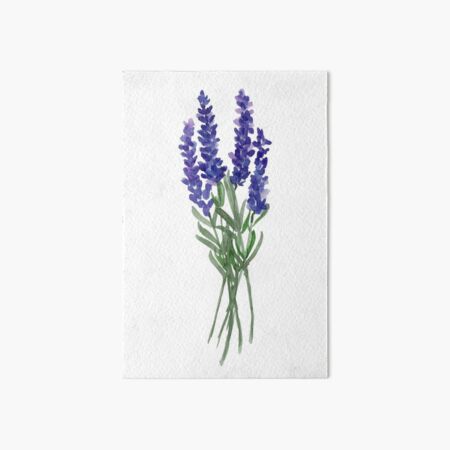 Lavender Dream Art Board Print