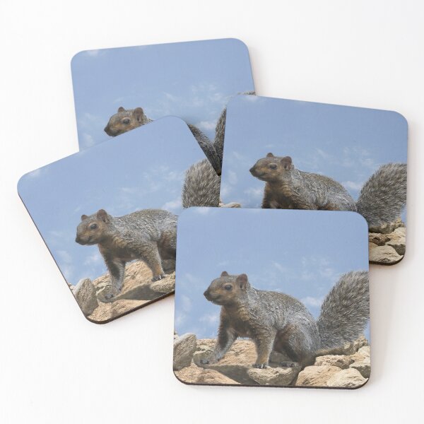Item preview, Happy Squirrel On the Rocks designed and sold by heatherfriedman.