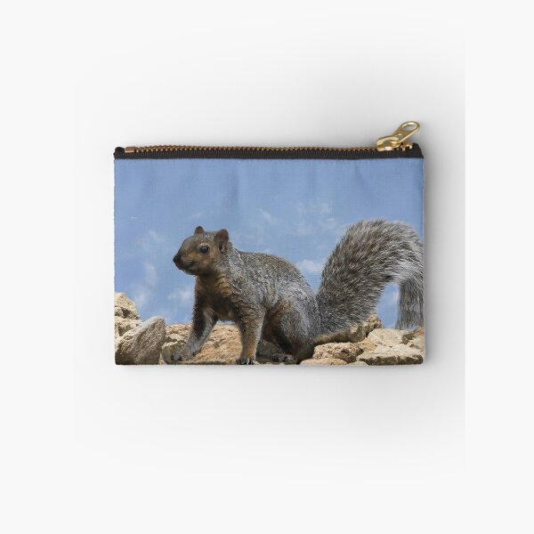 Item preview, Happy Squirrel On the Rocks designed and sold by heatherfriedman.