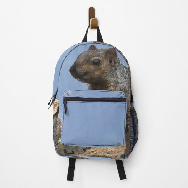 Item preview, Happy Squirrel On the Rocks designed and sold by heatherfriedman.