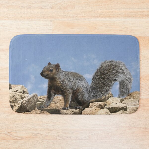 Item preview, Happy Squirrel On the Rocks designed and sold by heatherfriedman.