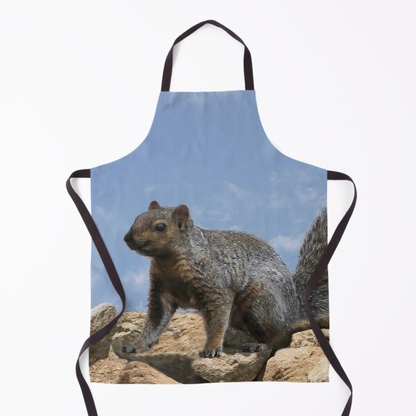 Item preview, Happy Squirrel On the Rocks designed and sold by heatherfriedman.