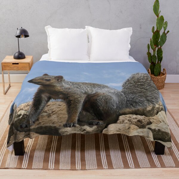 Item preview, Happy Squirrel On the Rocks designed and sold by heatherfriedman.
