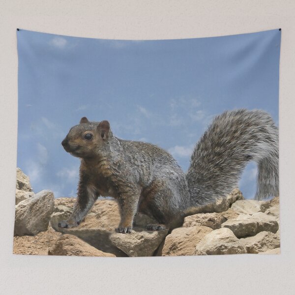 Item preview, Happy Squirrel On the Rocks designed and sold by heatherfriedman.