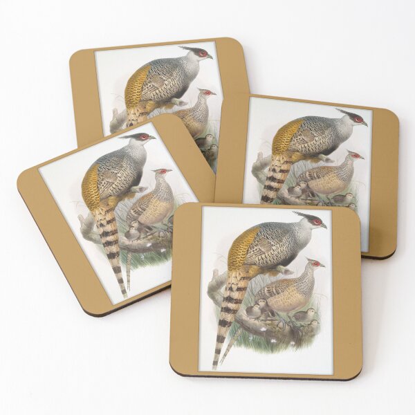 Item preview, Ornithological Print: Cheer Pheasant by Joseph Smit designed and sold by Tridentulus.