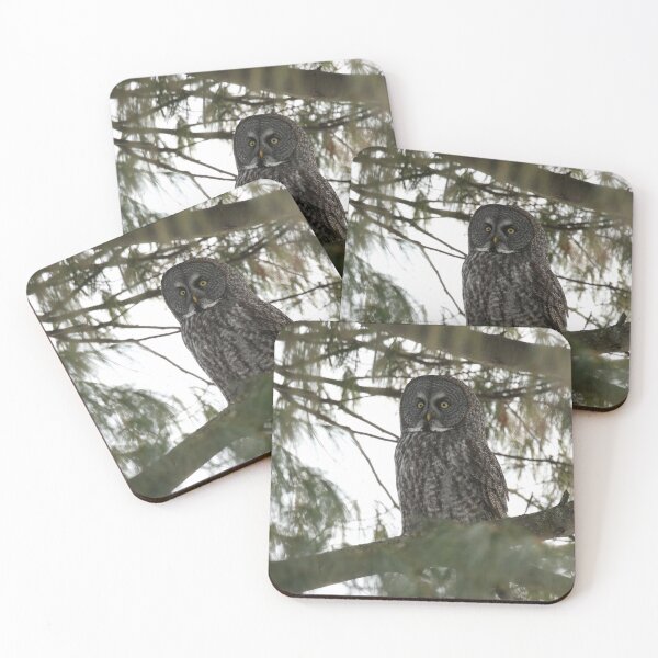 Item preview, Majestic Great Gray Owl  designed and sold by locustgirl.