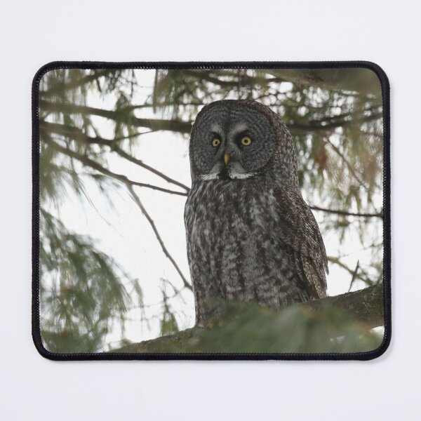 Item preview, Majestic Great Gray Owl designed and sold by locustgirl.