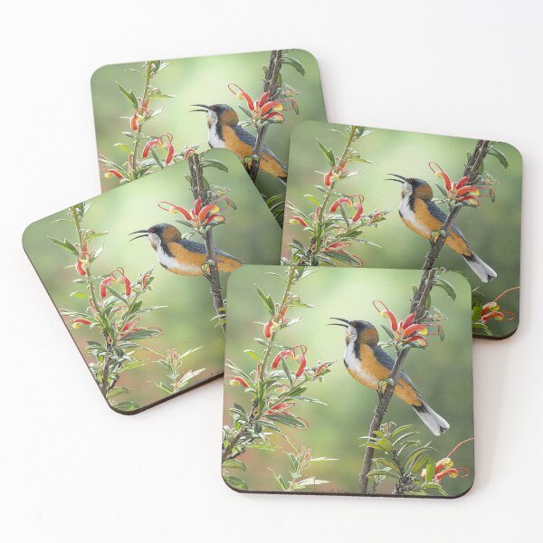 Item preview, TERRITORIAL - Eastern Spinebill designed and sold by Frances McMahon Watercolour Bird Artist.