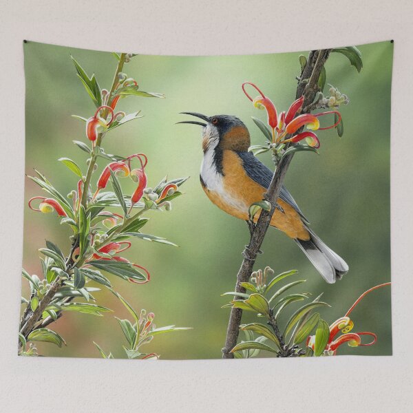 Item preview, TERRITORIAL - Eastern Spinebill designed and sold by Frances McMahon Watercolour Bird Artist.
