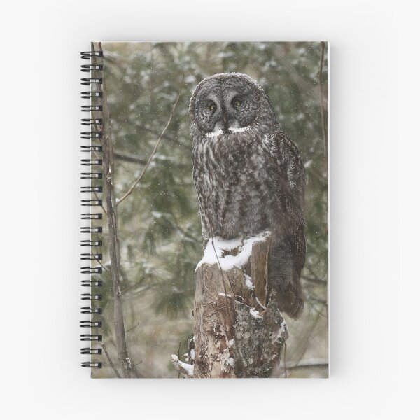 Item preview, Great gray totem designed and sold by locustgirl.