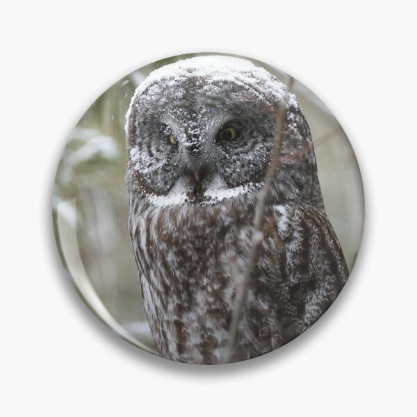 Item preview, A Great Gray Owl (Strix nebulosa) perched among snow-laden trees of the boreal forest designed and sold by locustgirl.