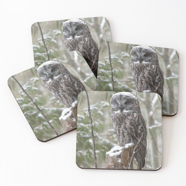 Item preview, A Great Gray Owl (Strix nebulosa) perched among snow-laden trees of the boreal forest designed and sold by locustgirl.