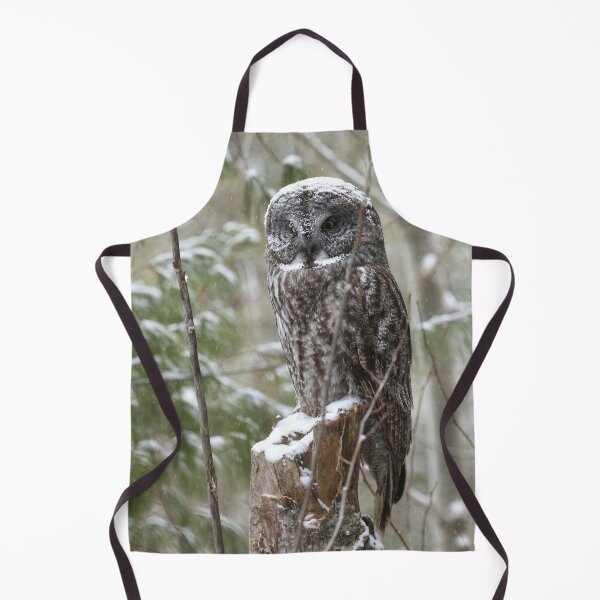 Item preview, A Great Gray Owl (Strix nebulosa) perched among snow-laden trees of the boreal forest designed and sold by locustgirl.