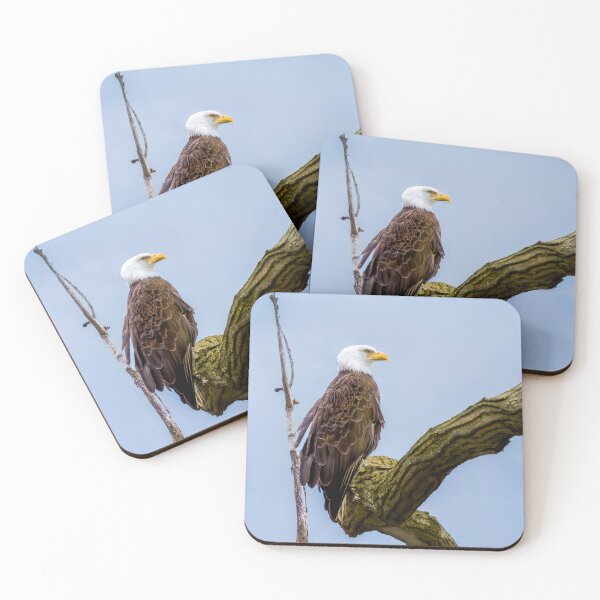 Item preview, Eagle at the Refuge designed and sold by Hoot's House of Fun.