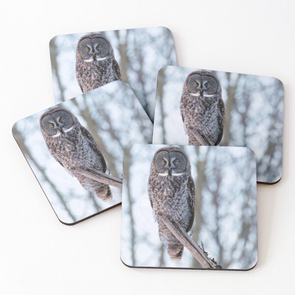 Item preview, Great Gray Owl Perched in Canadian Forest designed and sold by locustgirl.