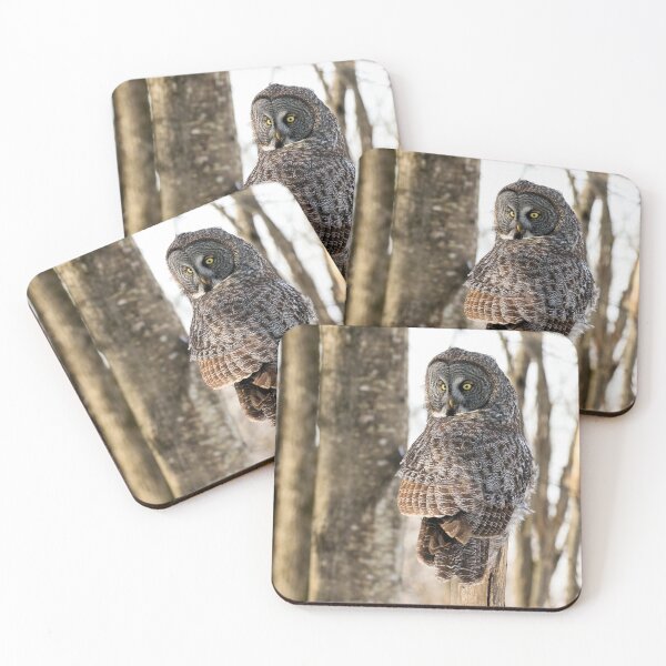 Item preview, Great Gray Owl on Natural Forest Perch designed and sold by locustgirl.