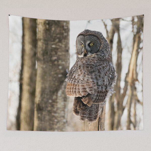 Item preview, Great Gray Owl on Natural Forest Perch designed and sold by locustgirl.
