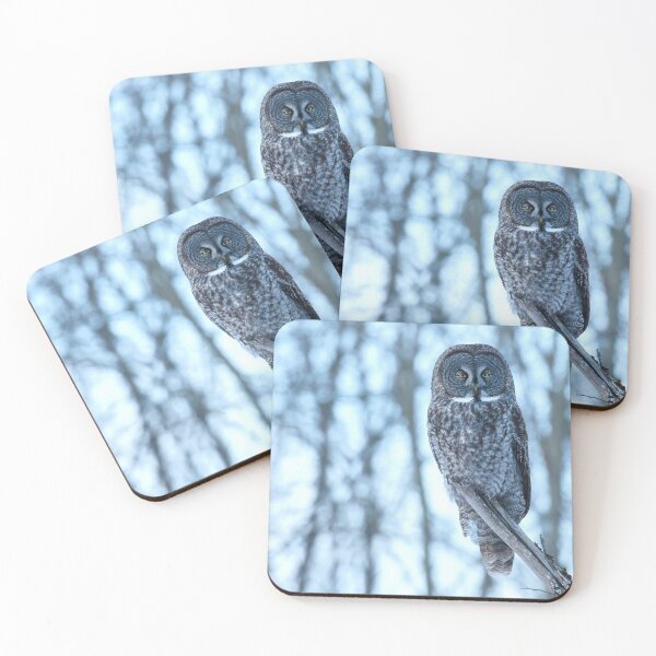 Item preview, Great Gray Owl Perched in Woodland Habitat designed and sold by locustgirl.